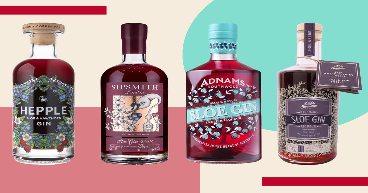 Best Sloe Gin Brands 2023 AtOnce